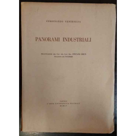 Panorami industriali