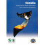 Somalia Energy Sector Needs Assessment and Investment Programme