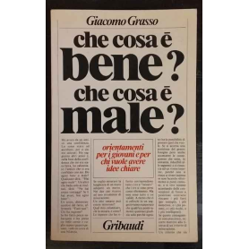 Che cosa è bene? Che cosa è male? Orientamenti per i giovani e per chi vuole avere idee chiare