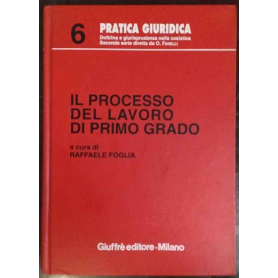 Il processo del lavoro di primo grado