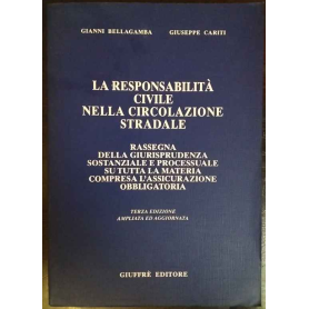 La responsabilità civile nella circolazione stradale
