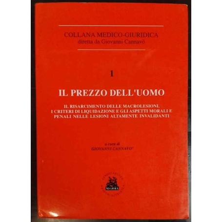Il prezzo dell'uomo. Il risarcimento delle macrolesioni.