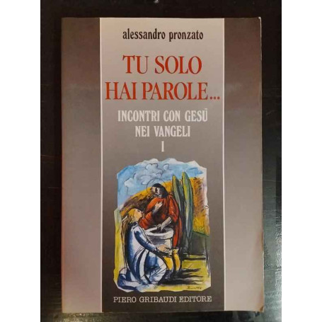Tu solo hai parole.. Incontri con Gesù nei vangeli. Giovanni e Luca (Vol. 1)