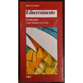 Il discernimento. Seconda parte: Come rimanere con Cristo
