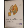Temi di predicazione. Omelie. Ciclo A. Vol. 2