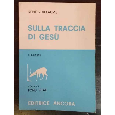 Sulla traccia di Gesù