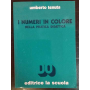 I numeri in colore nella pratica didattica