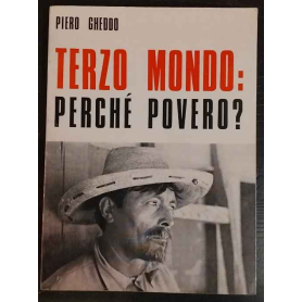 Terzo mondo: perché povero?