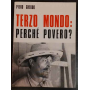 Terzo mondo: perché povero?