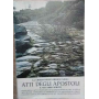 La chiesa delle origini negli atti degli apostoli e nei loro scritti.
