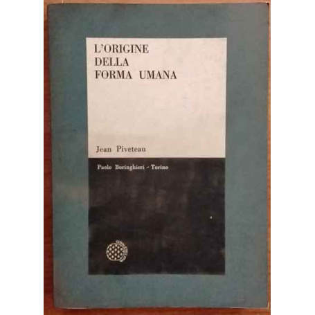 L'origine della forma umana