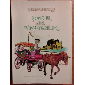 Napoli in carrozzella.