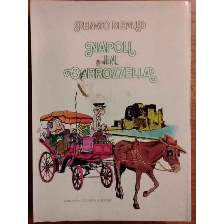Napoli in carrozzella.