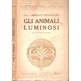Gli animali luminosi