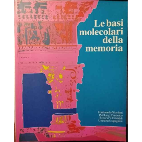 Le basi molecolari della memoria.
