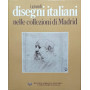 I grandi disegni italiani nelle collezioni di Madrid