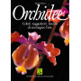 Orchidee. Colori suggestioni fascino di un magico fiore