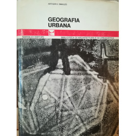 Geografia urbana