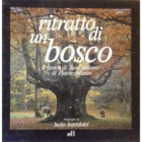Ritratto di un bosco. Il bosco di Sant'Antonio di Pescocostanzo