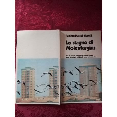 Lo stagno di Molentargius