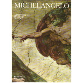 Michelangelo. Architettura scultura pittura