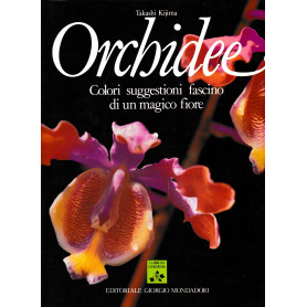 Orchidee