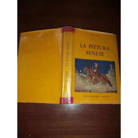 La pittura sense
