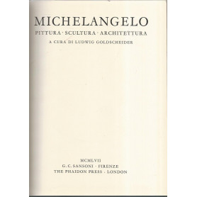 Michelangelo. Pittura
