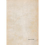anno accademico 1973-1974