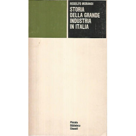 Storia della grande industria in Italia