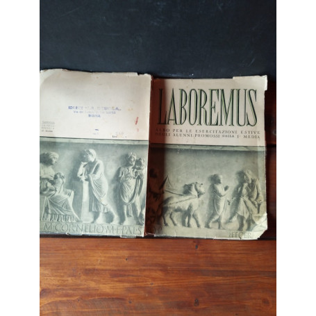 Laboremus albo per le esercitazioni estive degli alunni promossi dalla I media