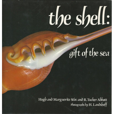 The shell:gift of the sea