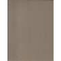 Pittura moderna italiana. Un secolo di pittura italiana ( dal Piccio al Segantini)