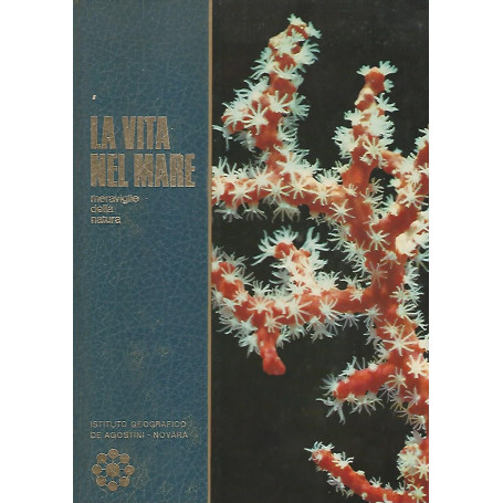 La vita nel mare