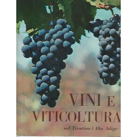 Vini e viticoltura nel Trentino Alto Adige