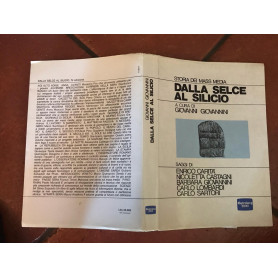 Dalla selce al silicio