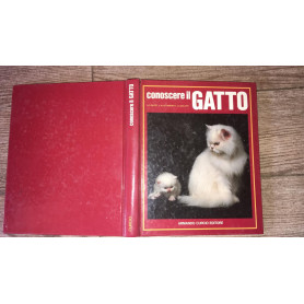 Conoscere il gatto