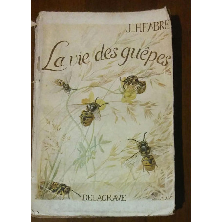 LA VIE DES GUEPES