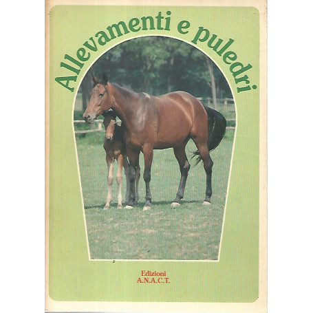 Allevamenti e puledri
