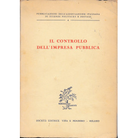 Il controllo dell'impresa pubblica