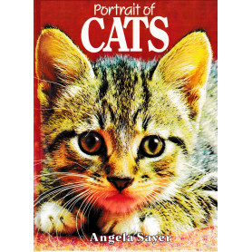 Portrait of Cats