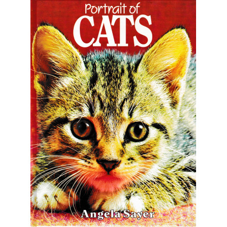Portrait of Cats