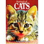 Portrait of Cats