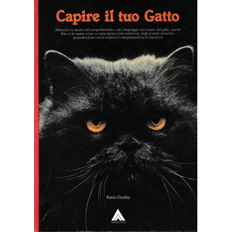 Capire il tuo Gatto