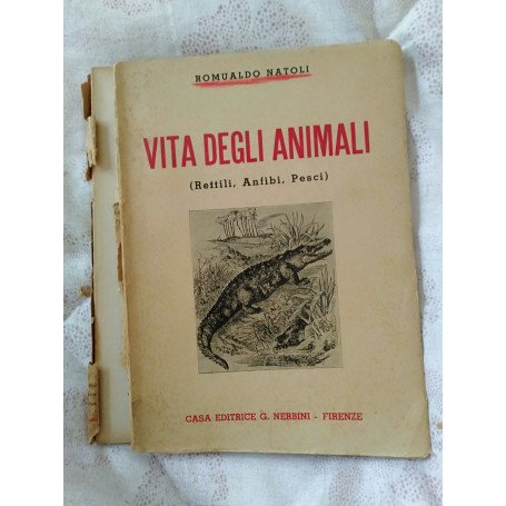 Vita degli animali rettili anfibi pesci