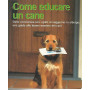 Come educare un cane