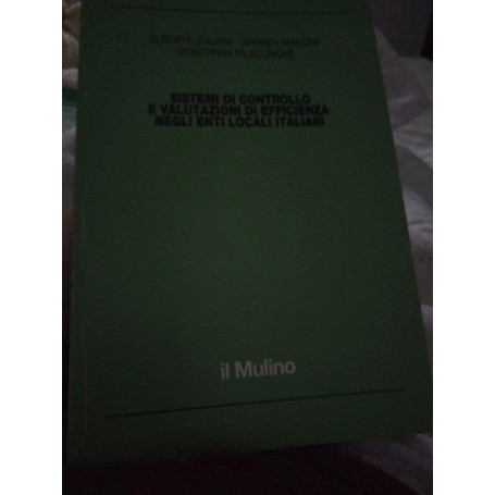 Sistemi e valutazioni di efficienza negli enti locali italiani