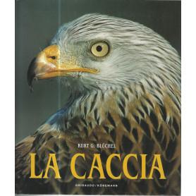 La caccia