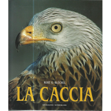 La caccia