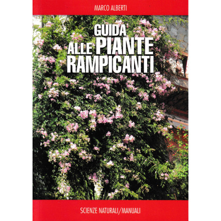 Guida alle piante rampicanti
